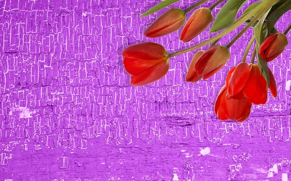 Flowers bouquet on wooden texture background — Stock Photo, Image