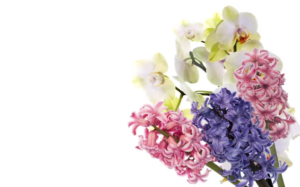 Easter.Spring.Holiday.Bouquet virágok — Stock Fotó