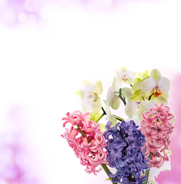 Easter.spring.holiday.bouquet flowers — Stock Photo, Image
