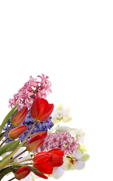 Easter.Spring.Holiday.Bouquet bloemen — Stockfoto