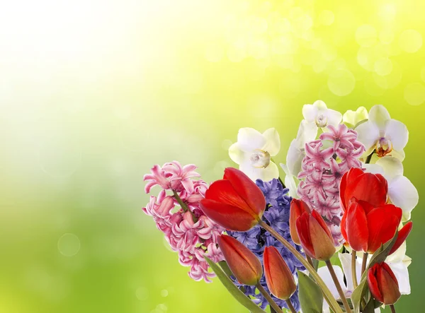 Easter.Spring.Holiday.Bouquet bloemen — Stockfoto