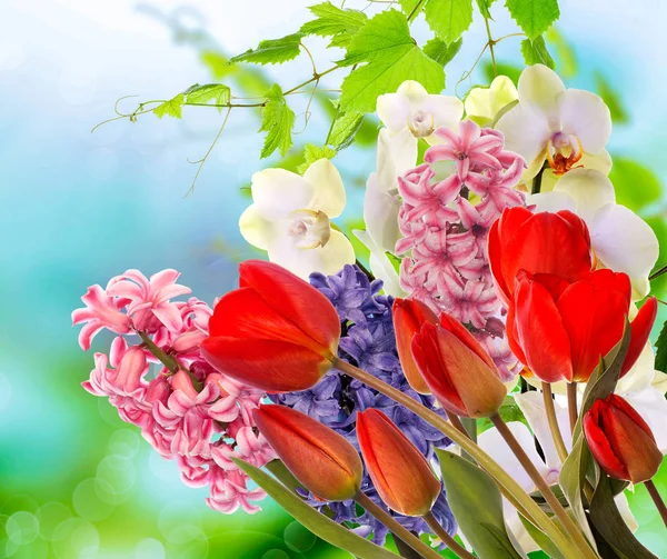 Easter.flowers.spring.holiday —  Fotos de Stock