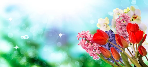 Easter.flowers.spring.holiday — 图库照片