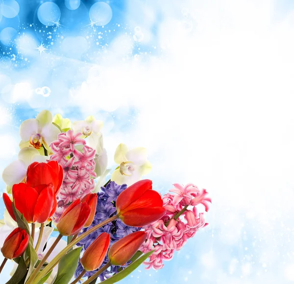 Easter.Flowers.Spring.Holiday — Stockfoto
