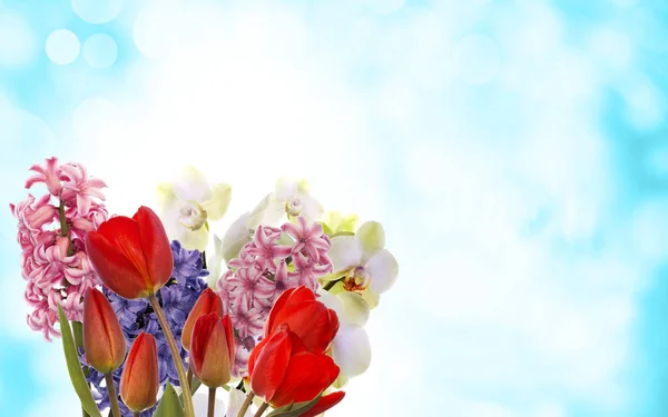 Easter.flowers.spring.holiday — Stock Photo, Image