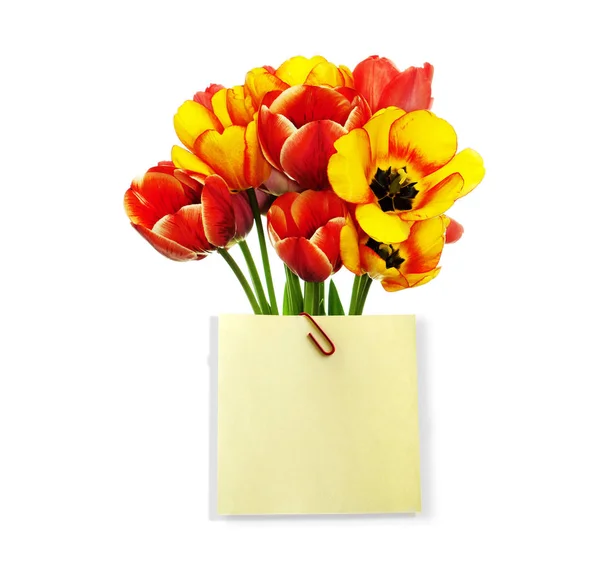Een mooi boeket van verse tuin tulpen met een felicitatie notitie met ruimte voor uw tekst — Stockfoto