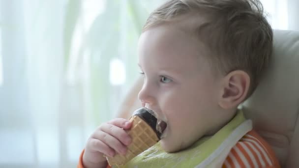 The little boy is eating ice cream — Stock Video