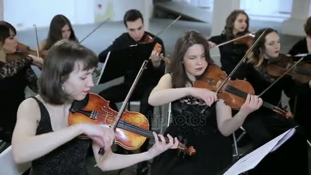 Orchester. Musiker spielt Geige im Symphoniesaal — Stockvideo