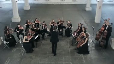 Orkestra. Senfoni salonu tarihinde Keman çalmaya müzisyen