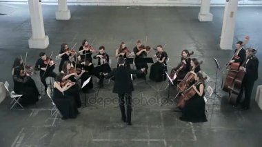 Orkestra. Senfoni salonu tarihinde Keman çalmaya müzisyen