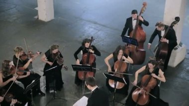 Orkestra. Senfoni salonu tarihinde Keman çalmaya müzisyen