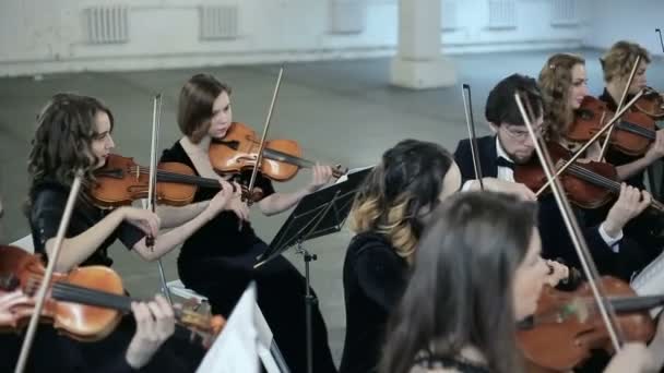 Orkester. Musiker som spelar fiol på symphony hall — Stockvideo