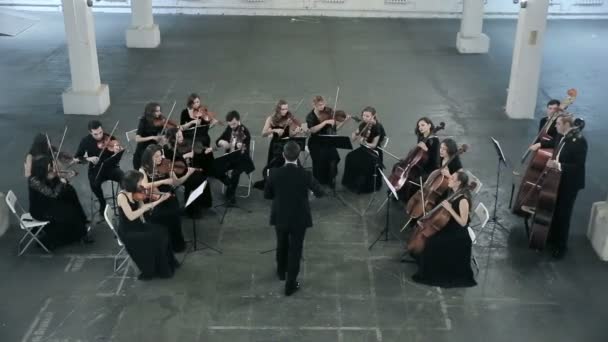 Orquesta. Músico tocando el violín en la sala sinfónica — Vídeos de Stock