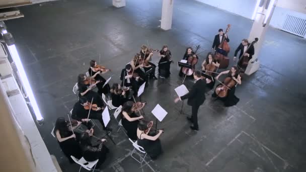 Orquesta. Músico tocando el violín en la sala sinfónica — Vídeo de stock