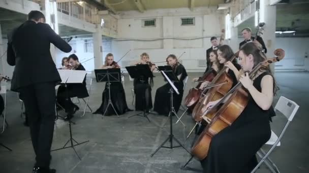 乐团。小提琴在交响乐大厅里的音乐家 — 图库视频影像