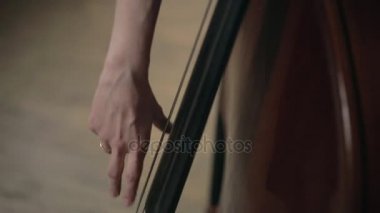 Müzik aletleri oynayan iki genç kadın