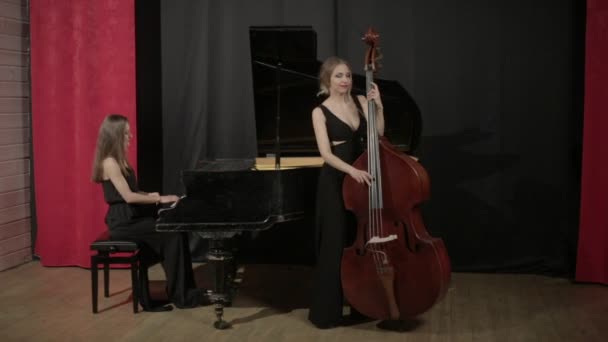 Dos mujeres jóvenes tocando un instrumento musical — Vídeos de Stock