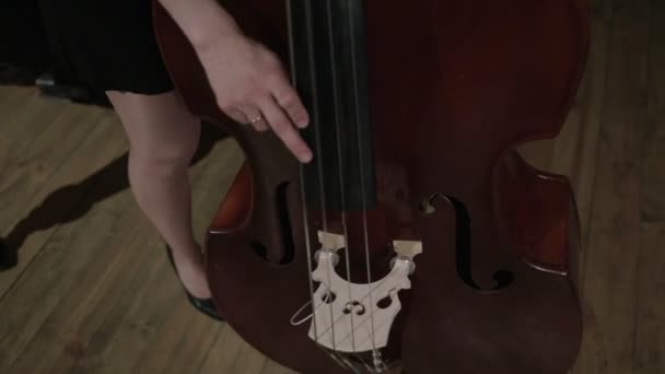 Två unga kvinnor spela ett musikinstrument — Stockvideo