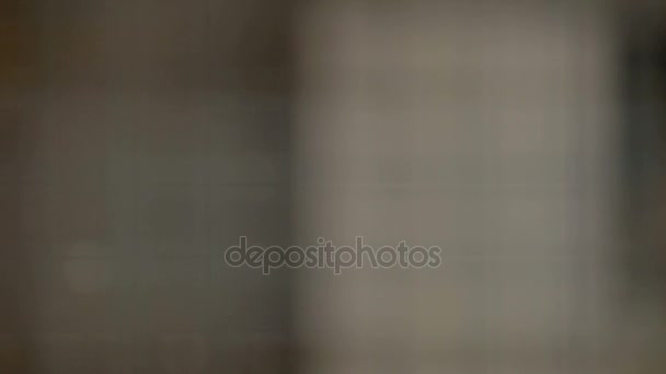Close-up pombo cinzento sentado um limpa — Vídeo de Stock