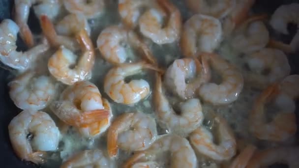 Closeup of cooking shrimp in pan — Stock Video