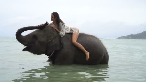 Joven mujer rubia bonita en el elefante en el mar — Vídeos de Stock