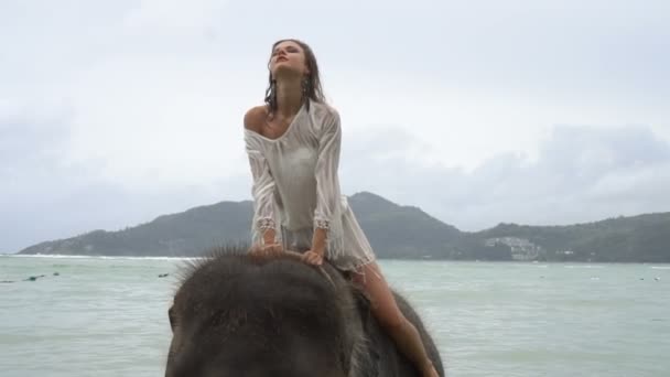 Jonge mooie blonde vrouw op olifant in de zee — Stockvideo