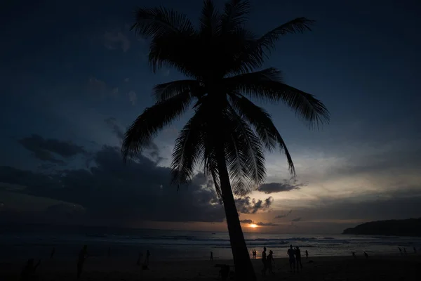 Palmier et silhouettes de personnes marchant sur la plage au coucher du soleil — Photo
