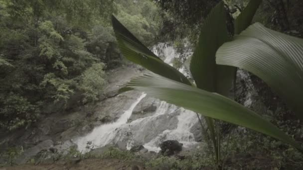 Close-up van de mooie waterval — Stockvideo