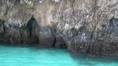 Yukarıdaki taş adada hareketli maymunlar berrak turkuaz deniz su