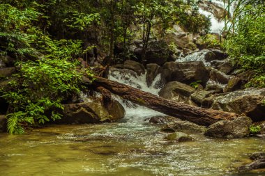 Güzel şelale Gölü ve düşmüş ağaç dalı ile