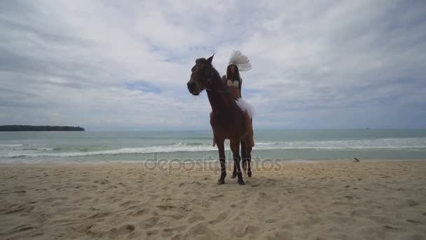 Kvinna med brun häst på stranden — Stockvideo
