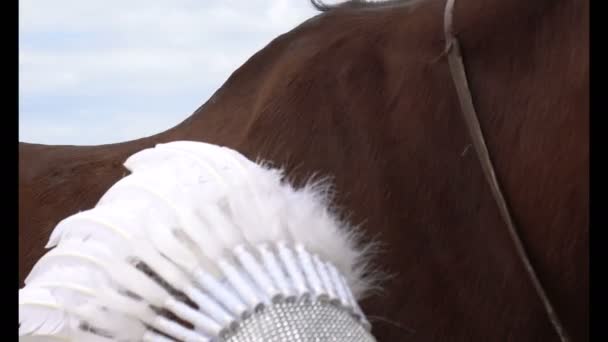 Mujer con caballo marrón en la playa — Vídeo de stock