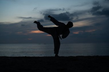 Dövüş sanatları adam eğitim taekwondo silüeti