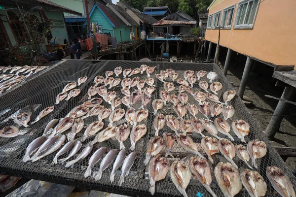 Vis drogen op het net in Koh Panyee dorp — Stockfoto