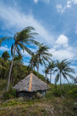 Palmiye ağaçları arasında thatched çatı ile küçük ev