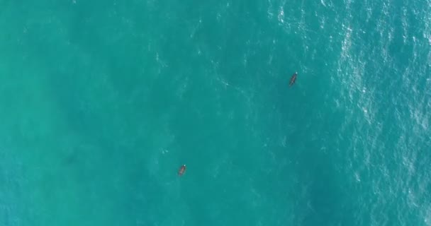 Dron tarafından su yüzeyinde yüzen bırakır — Stok video