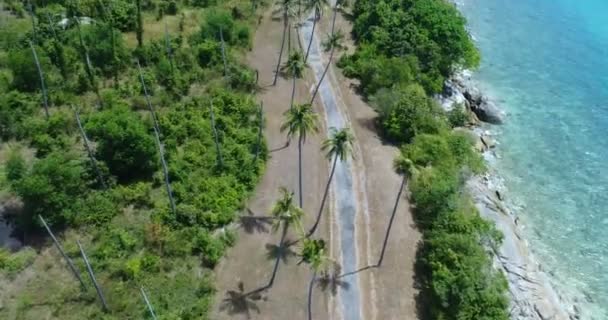 Deniz kıyısı ve palmiye ağaçlı adanın havadan görünüşü — Stok video