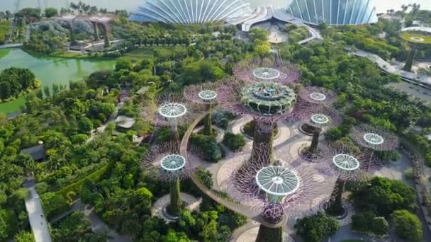 Вид с воздуха на сады у залива, Сингапур. При участии Supertree Grove, Cloud Forest и Flower Dome — стоковое видео