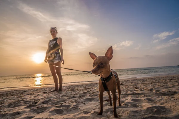 Woman with mini pinscher dog on the beach — Stock Photo, Image