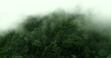 Yüksek dağların güzel bulutların üzerinden uçan