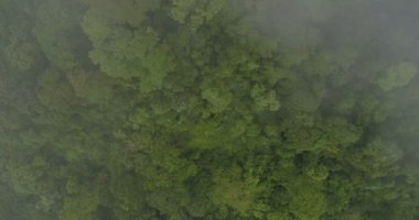 Yüksek dağların güzel bulutların üzerinden uçan