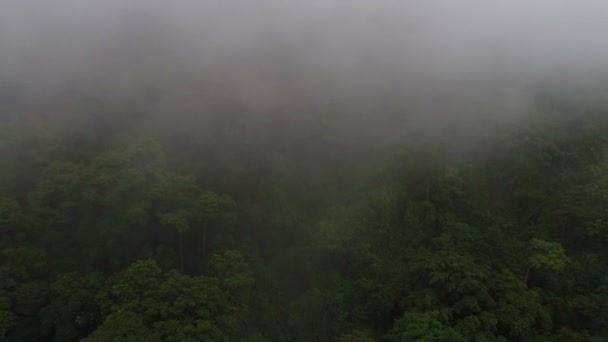 Survoler les hautes montagnes dans de beaux nuages 