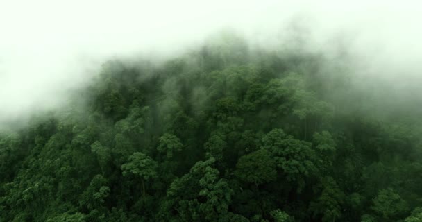 Survoler les hautes montagnes dans de beaux nuages — Video