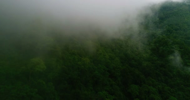 Vliegen over de hoge bergen in prachtige wolken — Stockvideo