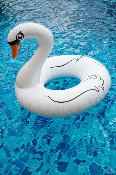 Inflatable white swan in the pool — Stock Photo, Image