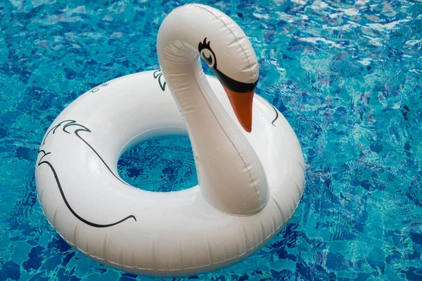 Надувной белый лебедь в бассейне — стоковое фото