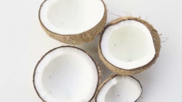 Kokosnüsse isoliert auf weißem Hintergrund — Stockvideo