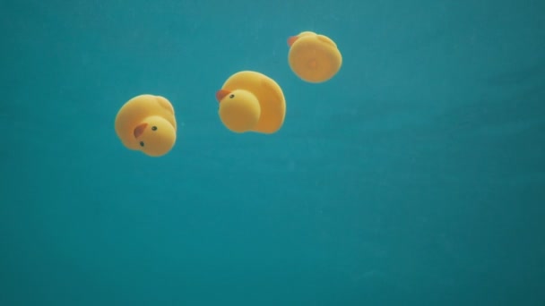 Žluté gumové kachny pod vodou — Stock video
