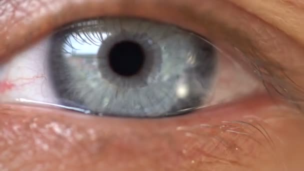 Крупный план женского голубого глаза — стоковое видео