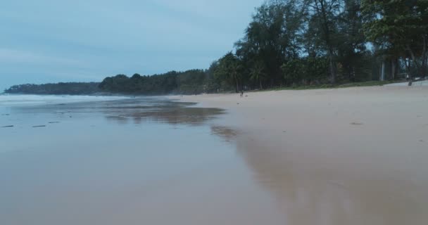 Vue aérienne de l'île tropicale et de la mer — Video